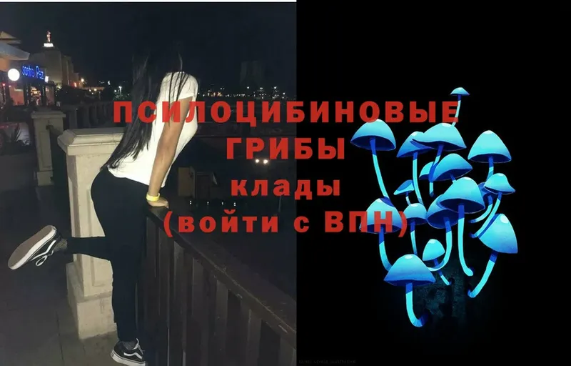 Галлюциногенные грибы Magic Shrooms  где можно купить   hydra ссылки  Гусиноозёрск 